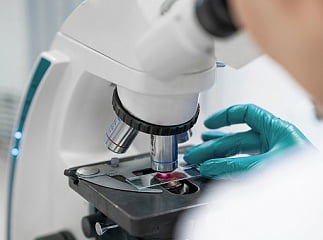 Что входит в программу обследования?